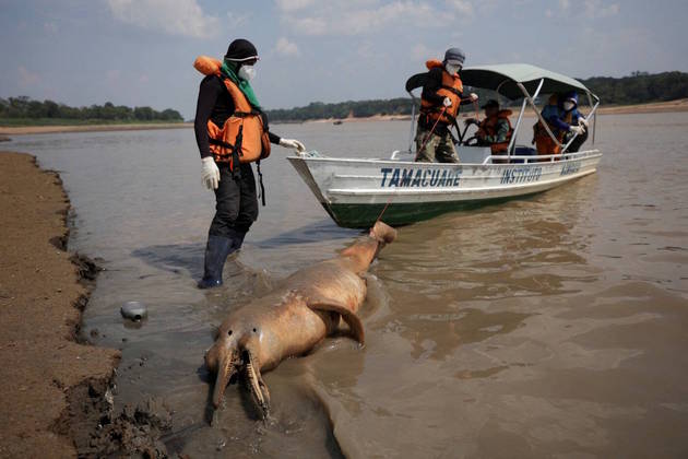 Um levantamento da Defesa Civil do Amazonas mostrou que, até segunda-feira (2), 21 municípios do estado estavam em situação de emergência, outros 37 em alerta e 2 em atenção