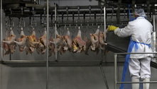 Abate de frangos e suínos atinge recorde no 1º trimestre, diz IBGE 