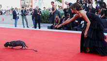 Atriz italiana leva cachorro ao tapete vermelho do Festival de Cinema de Veneza