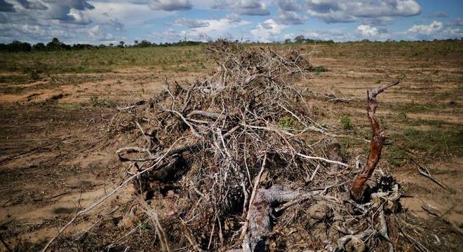 Cerrado foi a contrapartida para desacelerar a destruiÃ§Ã£o da AmazÃ´nia