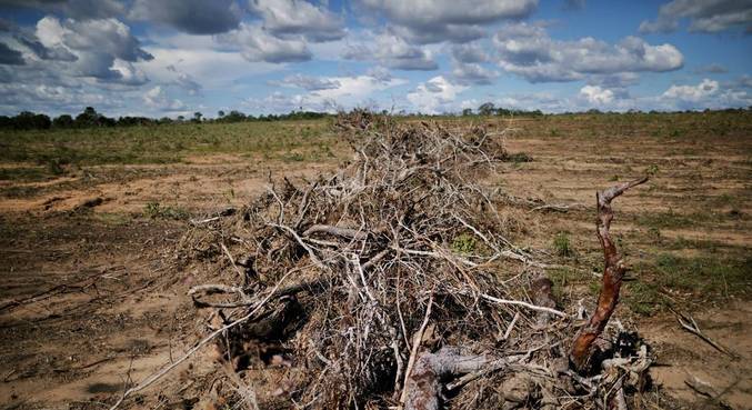 Foram 10.688,73 km² perdidos de vegetação, entre agosto de 2021 e julho de 2022