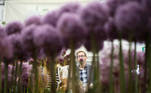 A visitor views a floral display while attending the final day of the Chelsea Flower Show, delayed from its usual spring dates because of the lockdown restrictions amid the spread of the coronavirus disease (COVID-19) pandemic in London, Britain, September 26, 2021. REUTERS/Henry Nicholl