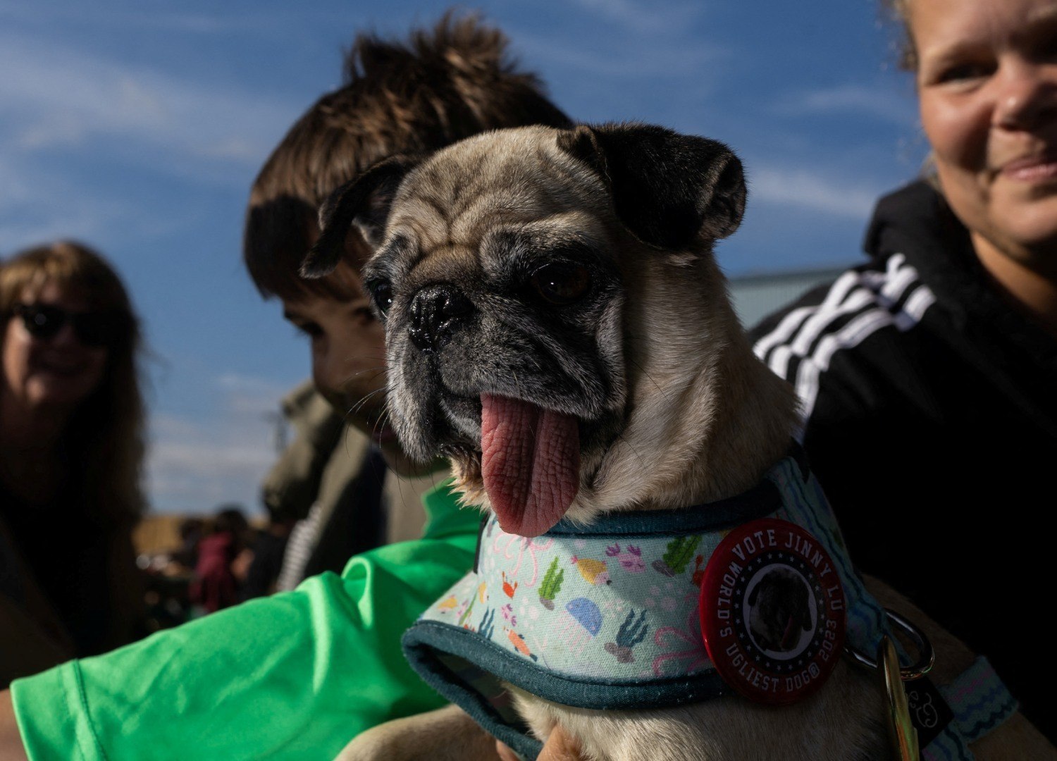 Competição do cachorro mais feio do mundo está com inscrições