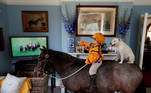 Horse Racing - Merlin Coles, 3, watches horse racing from Royal Ascot on TV at his home - Bere Regis, Britain - June 17, 2020 Merlin Coles 3, watches the horse racing from Royal Ascot on TV at his home, whilst sat on his horse Mr Glitter Sparkles with his dog Mistress, in Bere Regis, Dorset, as racing resumed behind closed doors after the outbreak of the coronavirus disease (COVID-19) REUTERS/Paul Childs/File Photo TPX IMAGES OF THE DAY SEARCH 'POY SPORTS' FOR THIS STORY. SEARCH 'REUTERS POY' FOR ALL BEST OF 2020 PACKAGES