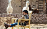 A boy, a member of the Diab family, holds a calf as he sits on a chair at the family's farm in the Tajoura suburb of Tripoli, Libya March 7, 2021. Picture taken March 7,2021. REUTERS/Hazem Ahmed