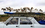 A man carries gooses on top of his car as he drives on a highway that leads to the city of Ganja, Azerbaijan October 21 2020. REUTERS/Umit Bektas