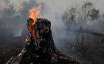 Vegetation burns in Brazilian Amazon rainforest, in Apui, Amazonas state, Brazil, September 4, 2021. Picture taken September 4, 2021. REUTERS/Bruno Kelly