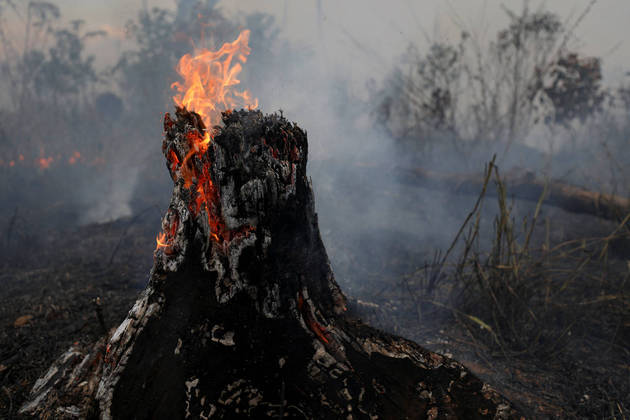 Vegetation burns in Brazilian Amazon rainforest, in Apui, Amazonas state, Brazil, September 4, 2021. Picture taken September 4, 2021. REUTERS/Bruno Kelly