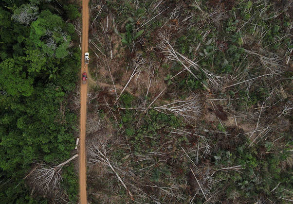 An aerial view shows a deforested plot of Brazilian Amazon rainforest, in Apui, Amazonas state, Brazil, September 4, 2021. Picture taken with a drone September 4, 2021. REUTERS/Bruno Kelly