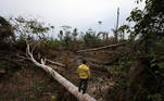 A Brazilian Institute for the Environment and Renewable Natural Resources (IBAMA) fire brigade member stands in a deforested plot of Brazilian Amazon rainforest, in Apui, Amazonas state, Brazil, September 4, 2021. Picture taken September 4, 2021. REUTERS/Bruno Kelly