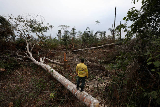 A Brazilian Institute for the Environment and Renewable Natural Resources (IBAMA) fire brigade member stands in a deforested plot of Brazilian Amazon rainforest, in Apui, Amazonas state, Brazil, September 4, 2021. Picture taken September 4, 2021. REUTERS/Bruno Kelly