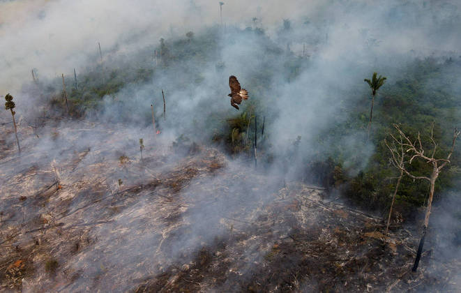 A bird flies as smoke from burning vegetation rises in Brazilian Amazon rainforest, in Apui, Amazonas state, Brazil, September 4, 2021. Picture taken with a drone September 4, 2021. REUTERS/Bruno Kelly