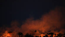 Focos de incêndio na Amazônia chegam a 2.287 em maio, maior volume para o mês em 18 anos