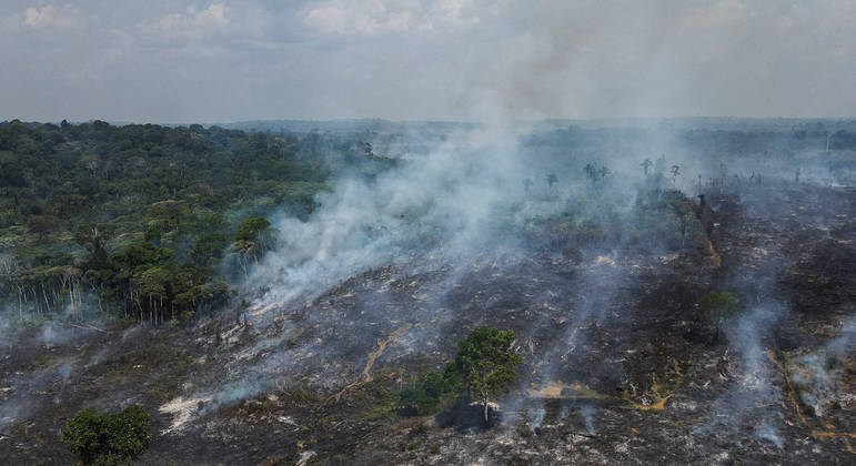 Floresta Amazônica sofre ano após ano com desmatamento e incêndios criminosos