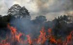 Smoke from a fire rises into the air as trees burn amongst vegetation in the Brazilian Amazon rainforest next to the Transamazonica national highway, in Labrea, Amazonas state, Brazil September 1, 2021. Picture taken September 1, 2021. REUTERS/Bruno Kelly