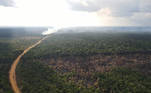 A view of a tract of burnt Amazon jungle next to the Transamazonica national highway, in Labrea, Amazonas state, Brazil, September 1, 2021. Picture taken September 1, 2021 with a drone. REUTERS/Bruno Kelly
