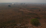 An aerial view shows horses and cattle standing amongst smoke from fires nearby in the Pantanal, the world's largest wetland, in Pocone, Mato Grosso state, Brazil, August 28, 2020. REUTERS/Amanda Perobelli SEARCH 'PANTANAL PEROBELLI' FOR THIS STORY. SEARCH 'WIDER IMAGE' FOR ALL STORIES