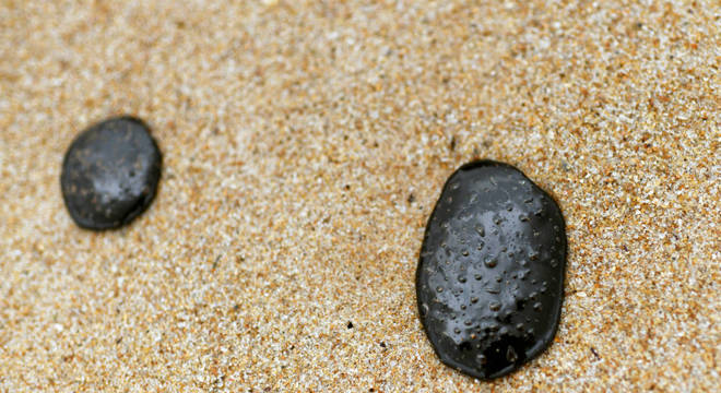 Mesmo após seu desaparecimento, óleo representa perigo (REUTERS/Lucas Landau)