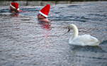 A swimmer wearing a Santa hat gets out of The Serpentine lake at Hyde Park on Christmas Day, as the spread of the coronavirus disease (COVID-19) continues, in London, Britain, December 25, 2020. REUTERS/Hannah McKay
