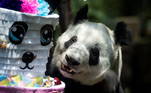 O panda gigante Xin Xin completou 32 anos na última quarta-feira (6). Para comemorar a data, o Zoológico de Chapultepec preparou uma surpresinha para Xin Xin