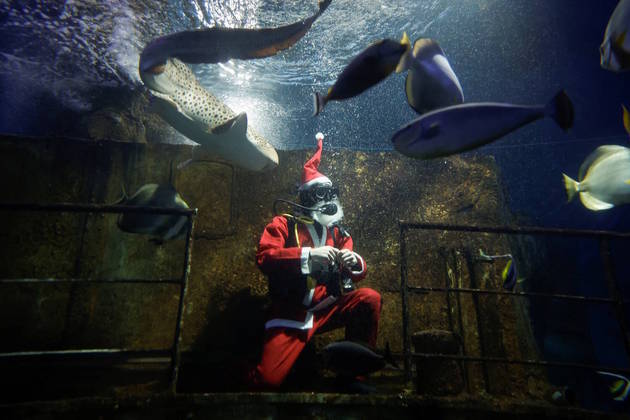 Não só as crianças que estavam no aquário como os pais admiraram a coragem do Papai Noel