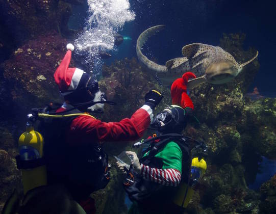O Papai Noel mergulhador passou um longo tempo submerso em Malta nesta sexta (1)