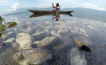 A fisherman paddles a wooden boat as dead fish are seen at Maninjau lake in Agam regency, West Sumatra province, February 5, 2021 in this photo taken by Antara Foto. Antara Foto/Iggoy el Fitra/ via REUTERS ATTENTION EDITORS - THIS IMAGE WAS PROVIDED BY A THIRD PARTY. MANDATORY CREDIT. INDONESIA OUT. TPX IMAGES OF THE DAY