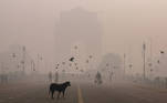  Nueva Delhi (India), 10/11/2020.- Un capa de polución envuelve la ciudad en Rajpath en Nueva Delhi, India, este martes. EFE/RAJAT GUPTA