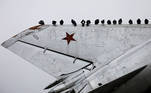 Pigeons sit on a decommissioned fighter plane converted to a monument in the town of Novoalexandrovsk, Stavropol region, Russia December 18, 2020. REUTERS/Eduard Korniyenko TPX IMAGES OF THE DAY