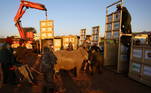 Para levar os animais da África do Sul para Moçambique, os operários precisaram de caminhões e contêineres 