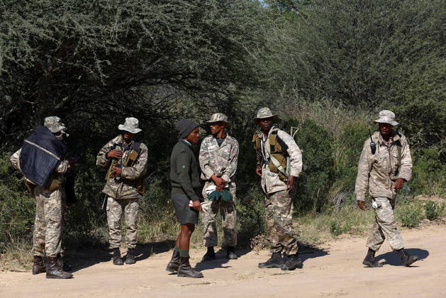 Vários homens foram necessários para transportar os animais da África do Sul até Moçambique