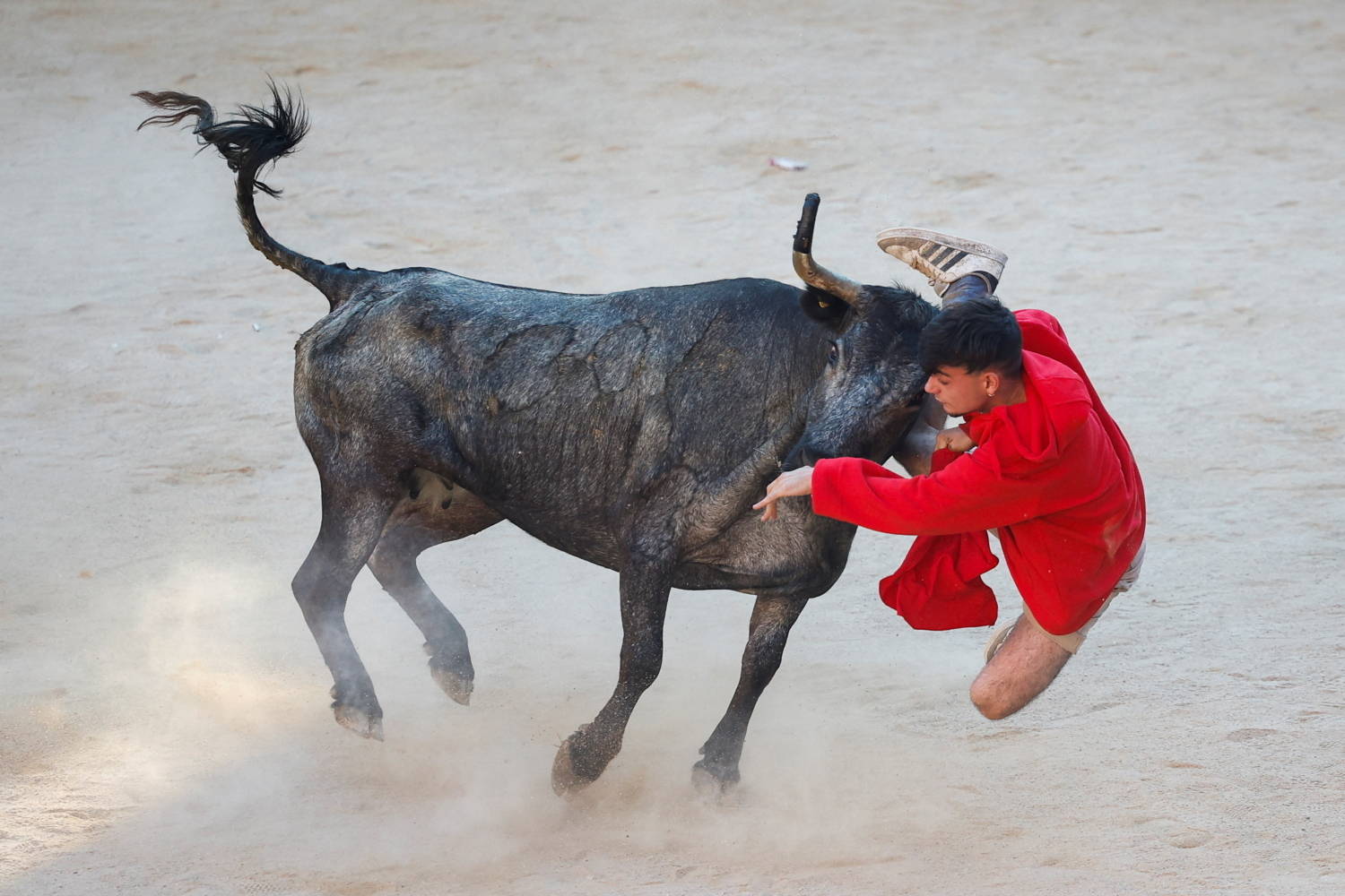 Espanha: corrida de touros de San Fermín tem dezenas de feridos - Notícias  - R7 Internacional