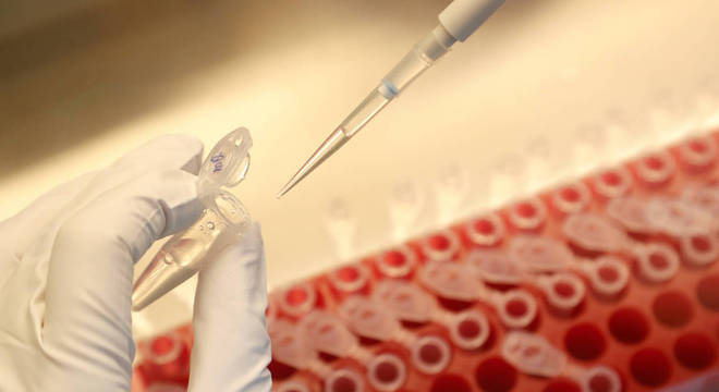 34 vacinas já estão sendo testadas em humanos, de acordo com a OMS