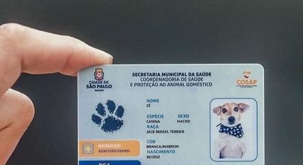 RGA também traz informações sobre vacina