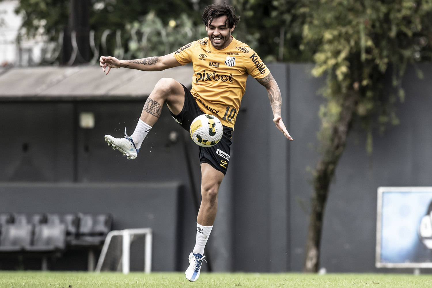 Ricardo Goulart Pode Conquistar Espaço No Santos Na Quarta-feira ...