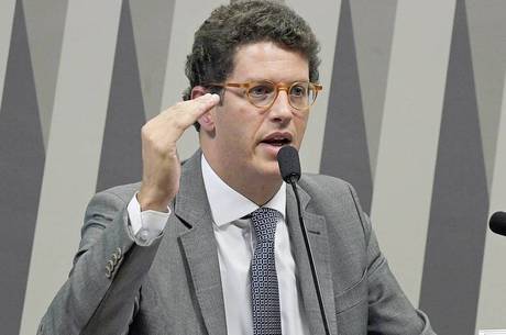 Regra questionada extingue proteção de manguezais