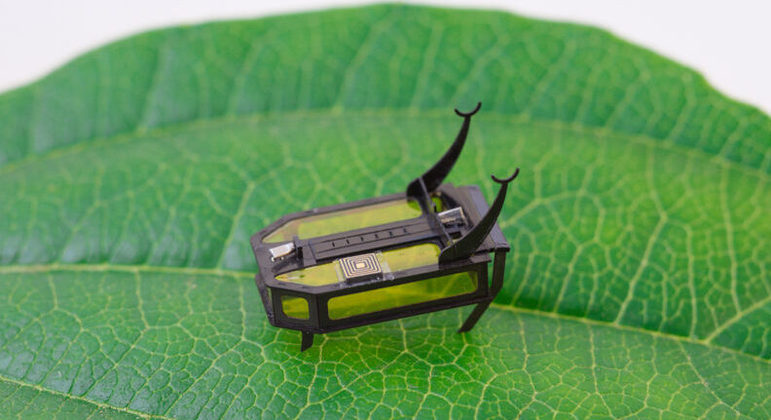 Robô mais leve do mundo recebeu o nome de "RoBeetle"