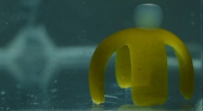 90% da estrutura do robô é feita de água