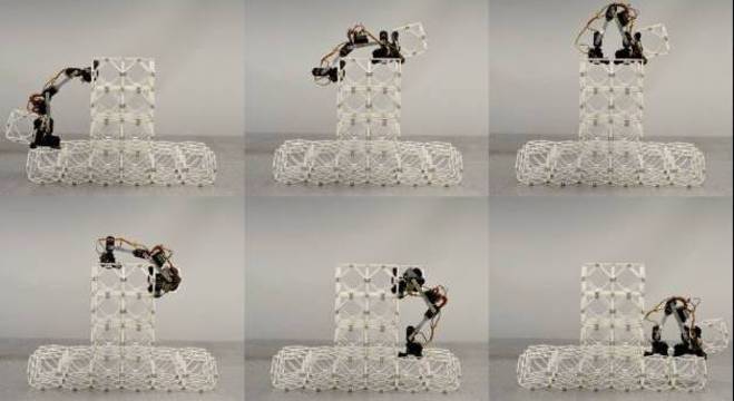 Robôs são capazes de construir grandes estruturas 