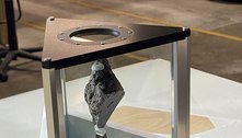Rocha lunar de 3,9 bilhões de anos é exposta na Casa Branca
