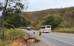 BR 116, em Miradouro (MG). Foto tirada em 1 de julho de 2021