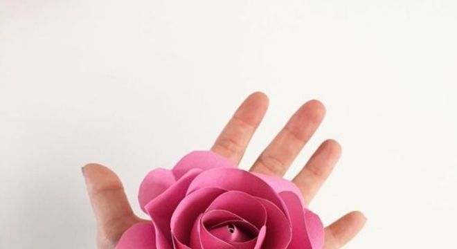 rosas de papel - rosa de cartolina rosa 