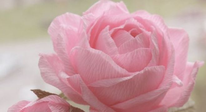 rosas de papel - rosa de papel crepom simples e grande 