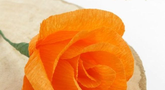 rosas de papel - rosa laranja de crepom