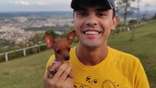 Homem quebra vidro de carro e furta cadela da raça pinscher em BH 