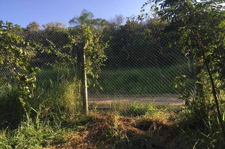 Grupo cortou uma cerca e arrombou portões