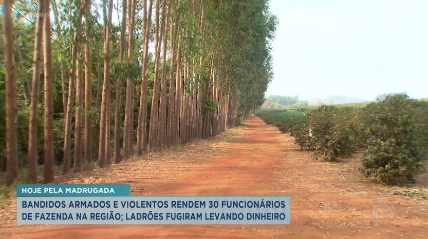 Homens bêbados caem às margens de rodovia e mobilizam socorristase Polícia  em Franca - RecordTV Interior SP - R7 Balanço Geral