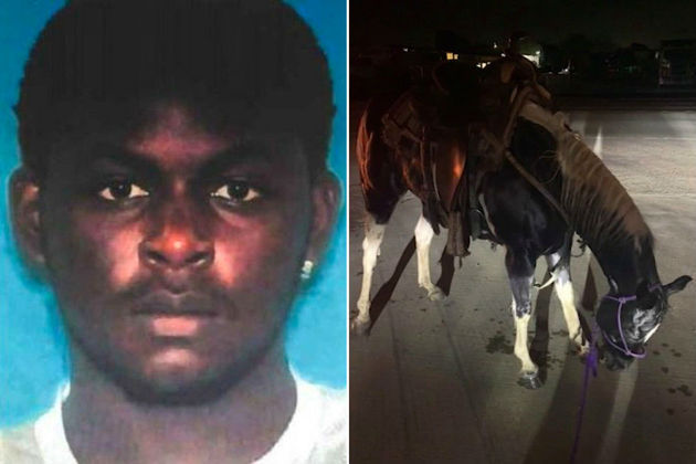 Carroceiro é preso após maltratar e matar cavalo – O JANELÃO