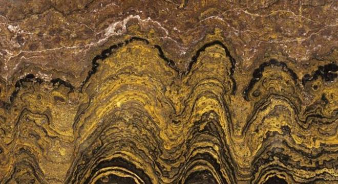 As camadas em um estromatólito são irregulares e enrugadas; a nave procurará formas semelhantes