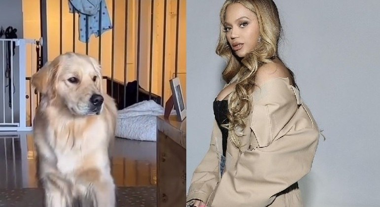 Vídeo na internet mostra cachorro dançando música da cantora Beyoncé